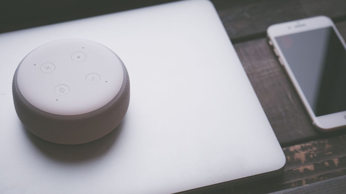 Local Voice Assistant Smart House Core
